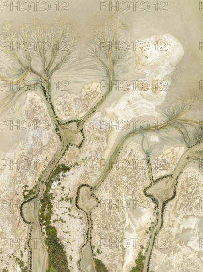 Abstract patterns at low tide in the marshland of the Nature Reserve La Breña y Marismas del