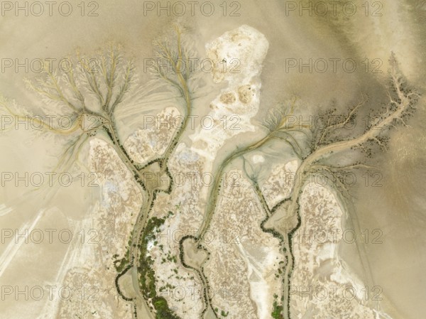 Abstract patterns at low tide in the marshland of the Nature Reserve La Breña y Marismas del