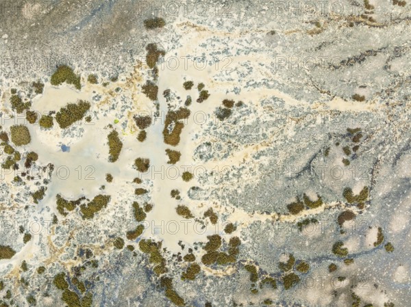 Marshland at low tide. Nature Reserve La Breña y Marismas del Barbate. Aerial view. Drone shot.