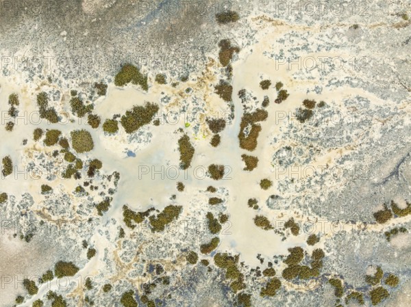 Marshland at low tide. Nature Reserve La Breña y Marismas del Barbate. Aerial view. Drone shot.
