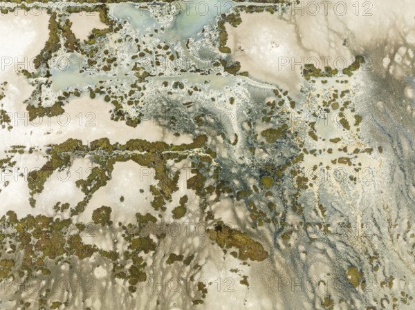 Marshland at low tide. Nature Reserve La Breña y Marismas del Barbate. Aerial view. Drone shot.
