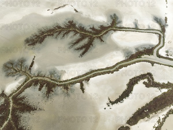 Abstract patterns at low tide in the marshland of the Nature Reserve La Breña y Marismas del