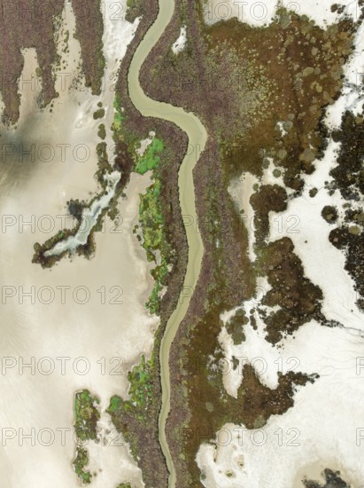 Marshland at low tide. Nature Reserve La Breña y Marismas del Barbate. Aerial view. Drone shot.