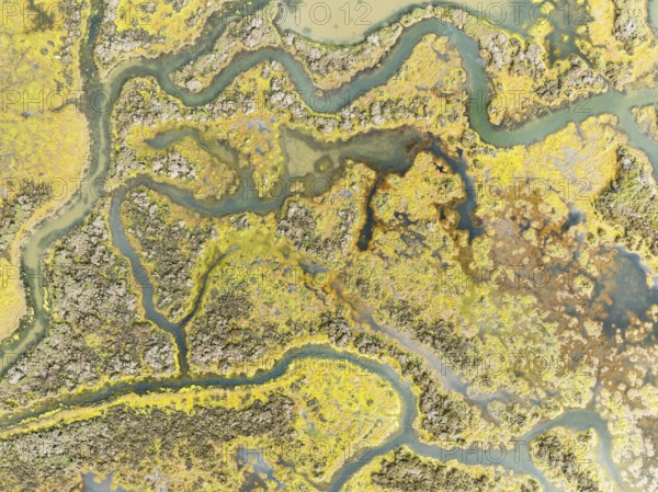 Marshland at low tide. Nature Reserve La Breña y Marismas del Barbate. Aerial view. Drone shot.