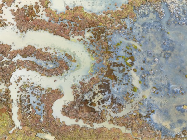 Marshland at low tide. Nature Reserve La Breña y Marismas del Barbate. Aerial view. Drone shot.