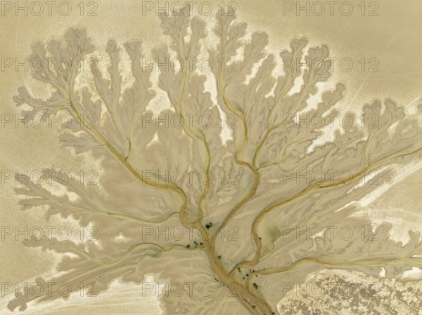 Abstract patterns at low tide in the marshland of the Nature Reserve La Breña y Marismas del
