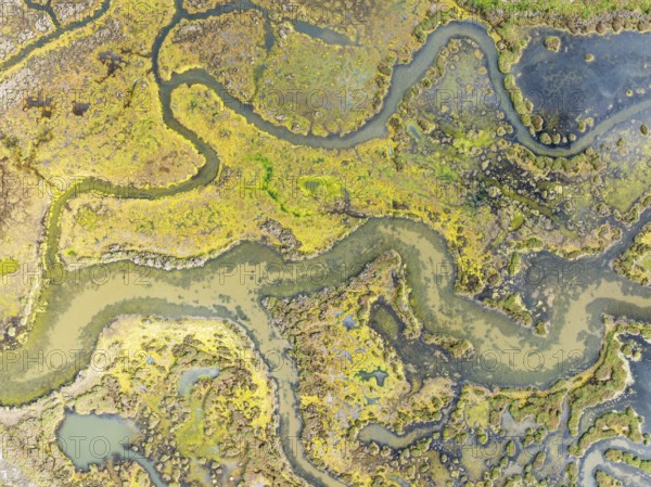 Marshland at low tide. Nature Reserve La Breña y Marismas del Barbate. Aerial view. Drone shot.