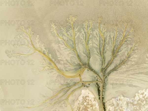 Abstract patterns at low tide in the marshland of the Nature Reserve La Breña y Marismas del