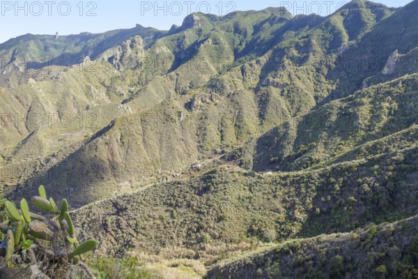 Impression around a mountain range named Macizo de Anaga at the island Tenerife in the Canary