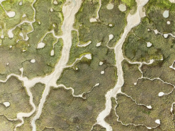 Abstract patterns of dry streams at low tide. In the marshland of the Bahía de Cádiz Nature Reserve