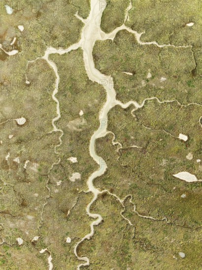 Abstract patterns of dry streams at low tide. In the marshland of the Bahía de Cádiz Nature Reserve