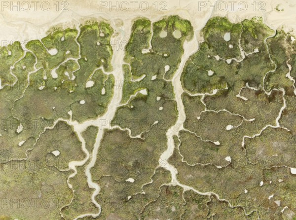 Abstract patterns of dry streams at low tide. In the marshland of the Bahía de Cádiz Nature Reserve