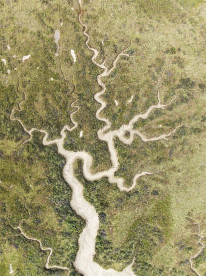 Abstract patterns of dry streams at low tide. In the marshland of the Bahía de Cádiz Nature Reserve