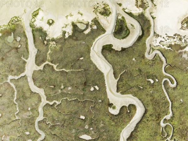 Abstract patterns of dry streams at low tide. In the marshland of the Bahía de Cádiz Nature Reserve