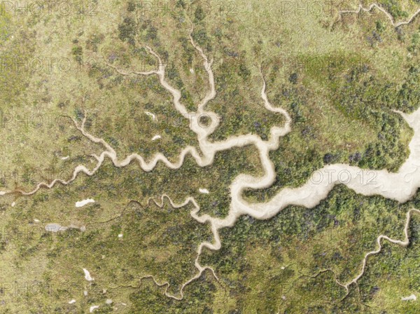 Abstract patterns of dry streams at low tide. In the marshland of the Bahía de Cádiz Nature Reserve
