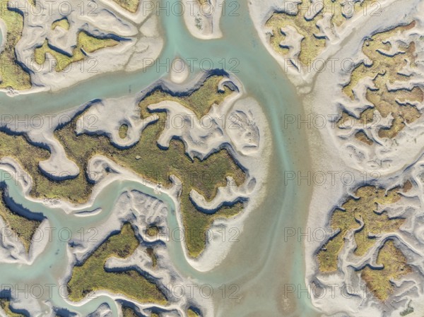 Network of channels and streams at low tide. In the marshland of the Bahía de Cádiz Nature Reserve.