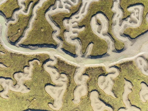 Network of channels and streams at low tide. In the marshland of the Bahía de Cádiz Nature Reserve.