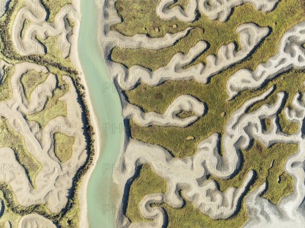 Network of channels and streams at low tide. In the marshland of the Bahía de Cádiz Nature Reserve.