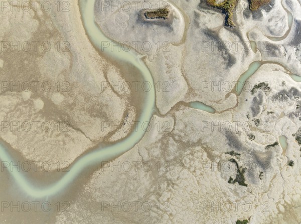 Network of channels and streams at low tide. In the marshland of the Bahía de Cádiz Nature Reserve.