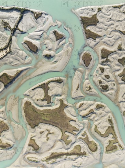 Network of channels and streams at low tide. In the marshland of the Bahía de Cádiz Nature Reserve.