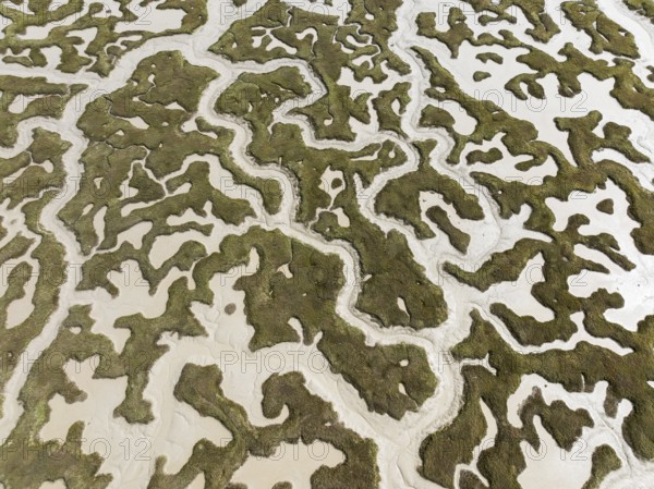 Network of dry channels and streams at low tide. In the marshland of the Bahía de Cádiz Nature