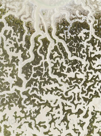 Network of dry channels and streams at low tide. In the marshland of the Bahía de Cádiz Nature