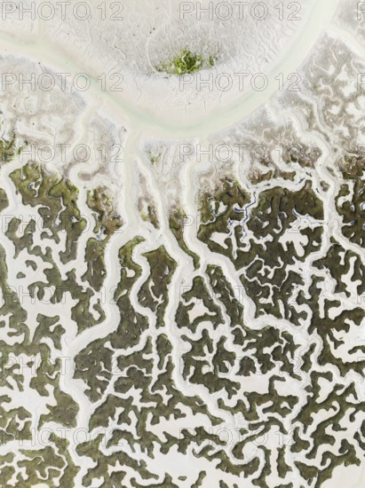 Network of dry channels and streams at low tide. In the marshland of the Bahía de Cádiz Nature