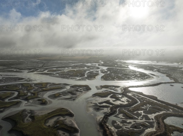 Network of channels and streams at low tide. In the marshland of the Bahía de Cádiz Nature Reserve.