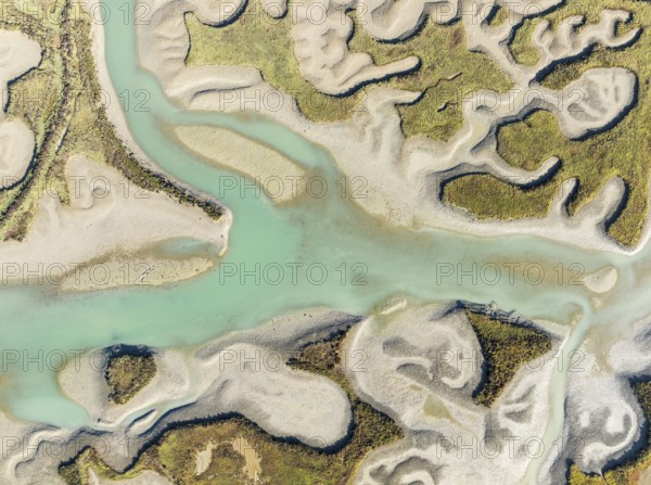 Network of channels and streams at low tide. In the marshland of the Bahía de Cádiz Nature Reserve.