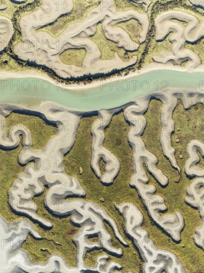 Network of channels and streams at low tide. In the marshland of the Bahía de Cádiz Nature Reserve.
