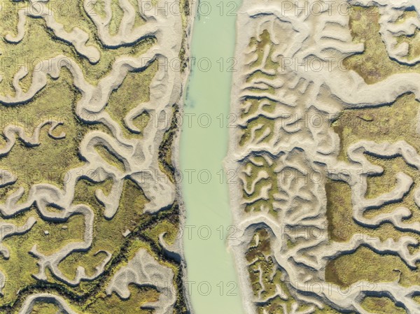 Network of channels and streams at low tide. In the marshland of the Bahía de Cádiz Nature Reserve.