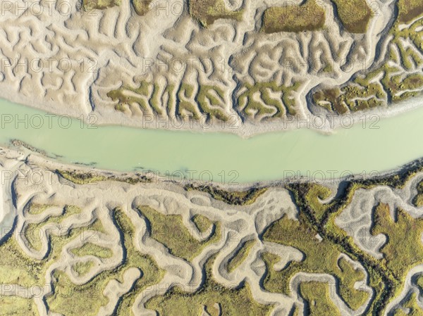 Network of channels and streams at low tide. In the marshland of the Bahía de Cádiz Nature Reserve.