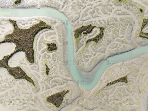Network of channels and streams at low tide. In the marshland of the Bahía de Cádiz Nature Reserve.