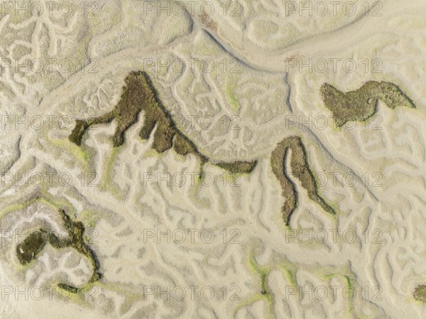 Network of dry channels and streams at low tide. In the marshland of the Bahía de Cádiz Nature