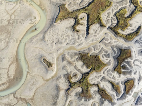 Network of channels and streams at low tide. In the marshland of the Bahía de Cádiz Nature Reserve.