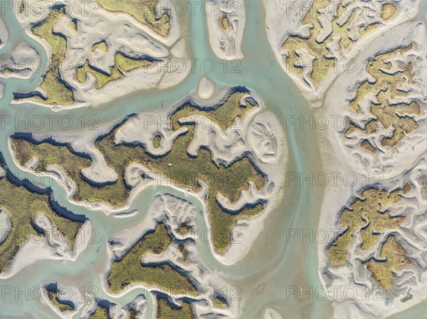 Network of channels and streams at low tide. In the marshland of the Bahía de Cádiz Nature Reserve.