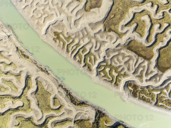 Network of channels and streams at low tide. In the marshland of the Bahía de Cádiz Nature Reserve.