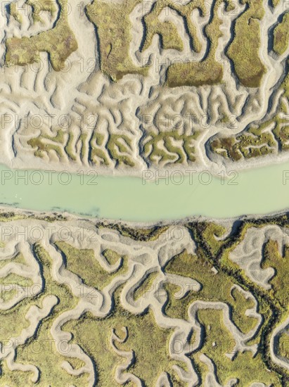 Network of channels and streams at low tide. In the marshland of the Bahía de Cádiz Nature Reserve.