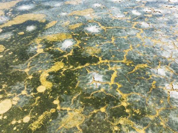 Abstract patterns in the shallow water of a saline pond in the marshland of the Bahía de Cádiz