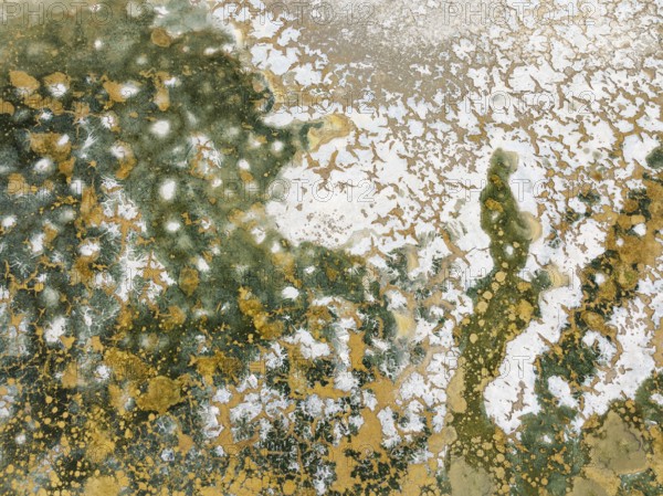 Abstract patterns in the shallow water of a saline pond in the marshland of the Bahía de Cádiz