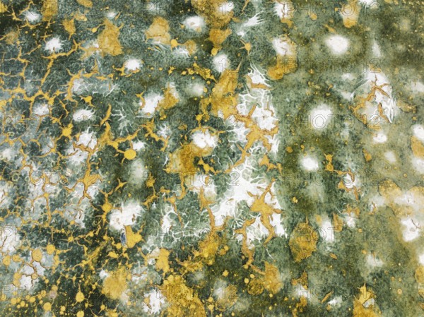 Abstract patterns in the shallow water of a saline pond in the marshland of the Bahía de Cádiz