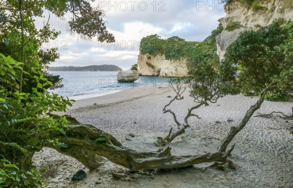 Coastal area named Cathedral Cove in the southern part of Mercury Bay on the Coromandel Peninsula
