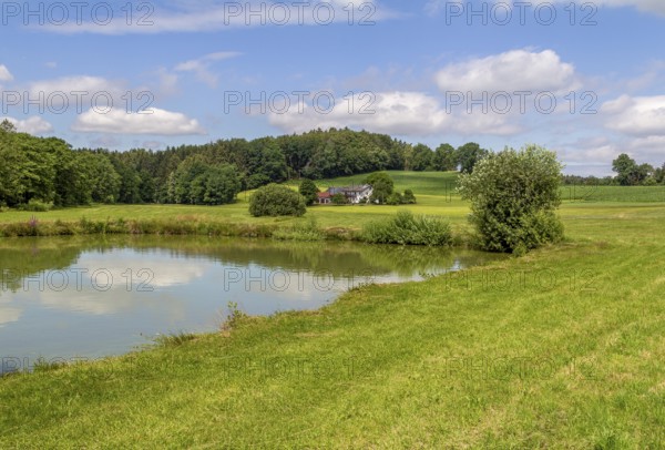 Small lake around Wiesenfelden in the Bavarian Forest in southern Germany at summer time