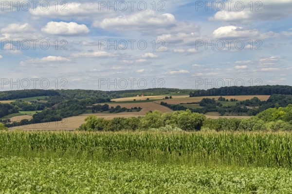 Idyllic rural scenery around the Jagst Valley in Hohenlohe, a district in Southern Germany at