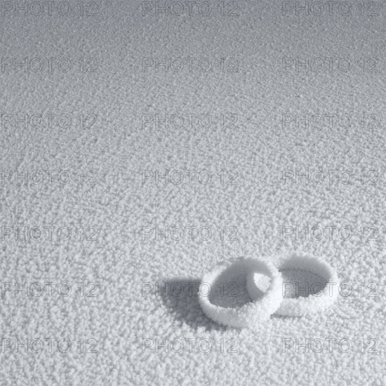 Studio photography of two frosted wedding rings in cold ambiance