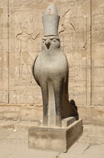 Sunny illuminated scenery including a statue of Horus at the ancient Temple of Edfu in Egypt