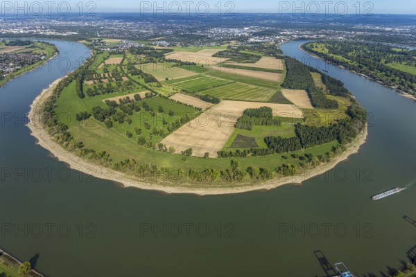 Aerial view, nature reserve Himmelgeister Rheinbogen, meadows and fields and green trees,