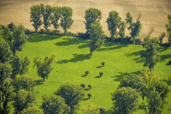 Aerial view, nature reserve Himmelgeister Rheinbogen, meadows and fields and green trees,