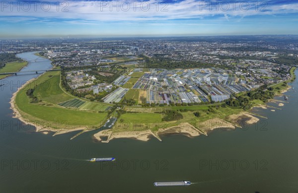 Aerial view, Rhine bend and district Volmerswerth, horticultural farms and agricultural use in the
