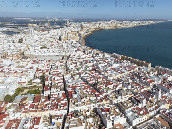 The town of Cádiz with the old quarter in the foreground. Aerial view. Drone shot. Cádiz province,